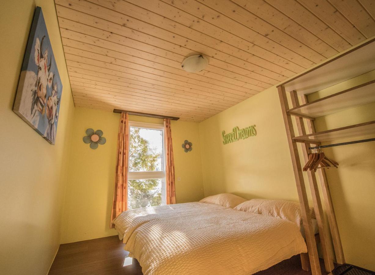 Schutzenbach Backpackers For Adults 18-35 Hostel Лаутербрунен Екстериор снимка